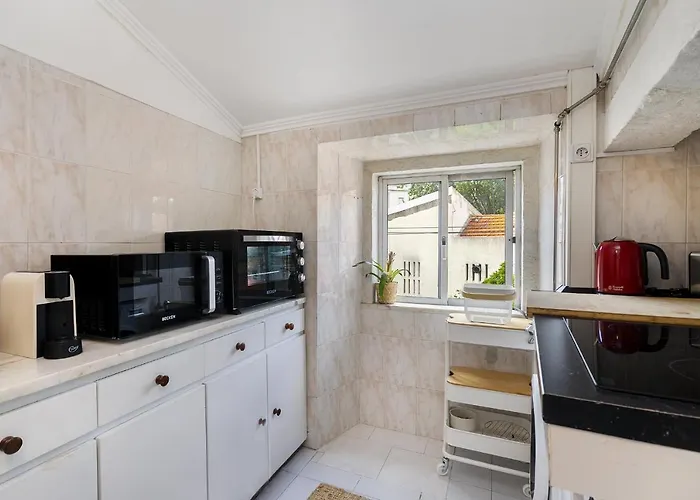 Whome Oasis Prime Location W/ Great View