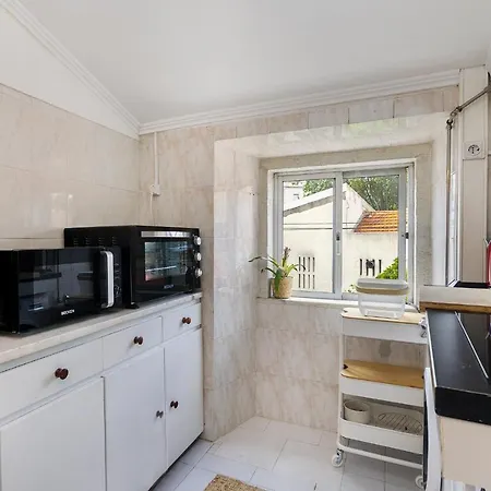 Whome Oasis Prime Location W/ Great View